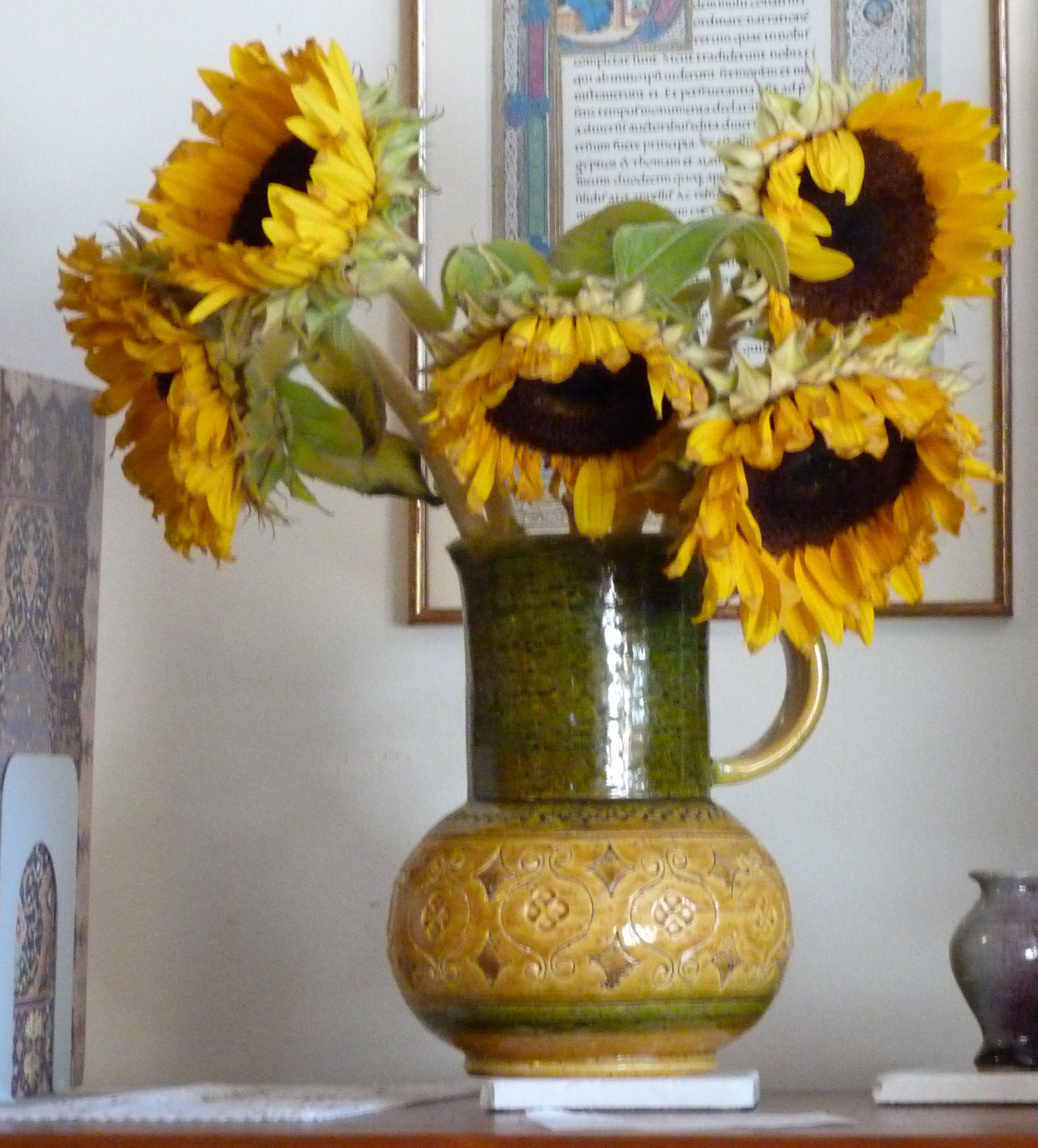 photo of sunflowers